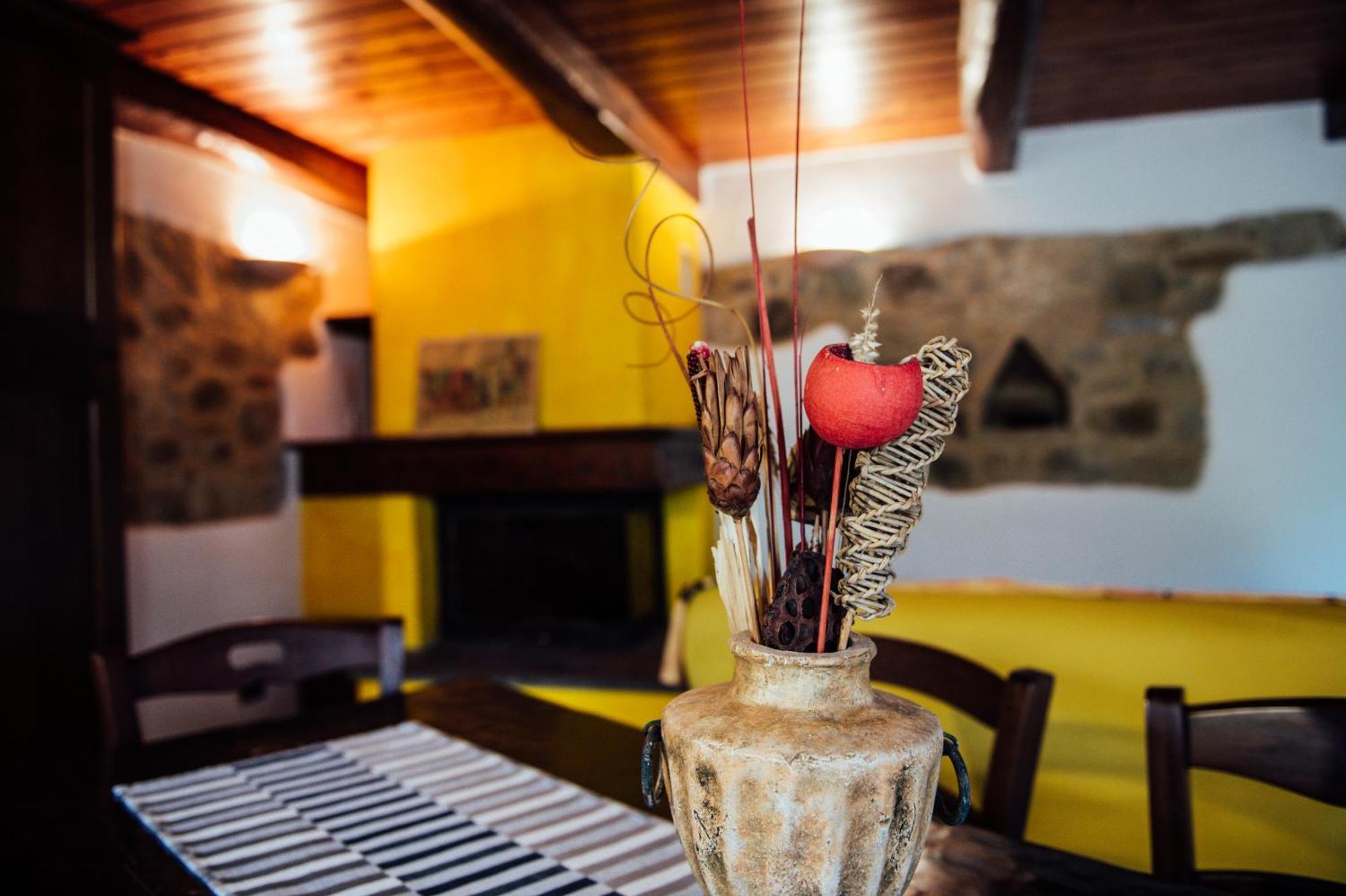 Agriturismo Il Noce 卡斯蒂戈隆·多尔希亚 外观 照片